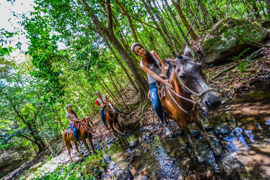 Vida Aventura Ranch Hotel Tanques Luaran gambar